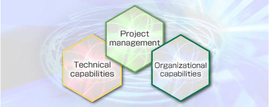 Technical capbilities, Project management, Organizational capabilities